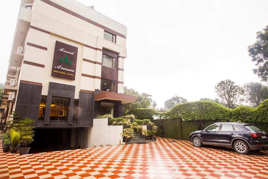 Hotel Forest Avenue - Best Luxury Hotel In Dehradún Kültér fotó
